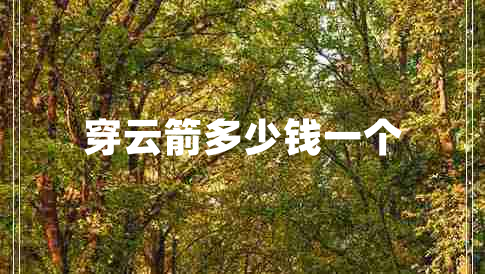 穿云箭多少錢(qián)一個(gè)