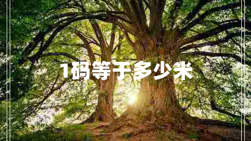 1碼等于多少米
