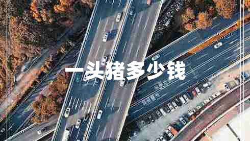 一頭豬多少錢