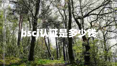 bsci認證是多少錢