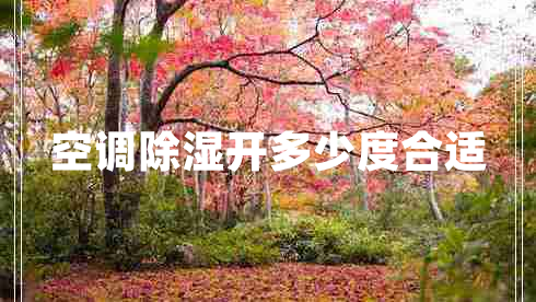 空調除濕開(kāi)多少度合適