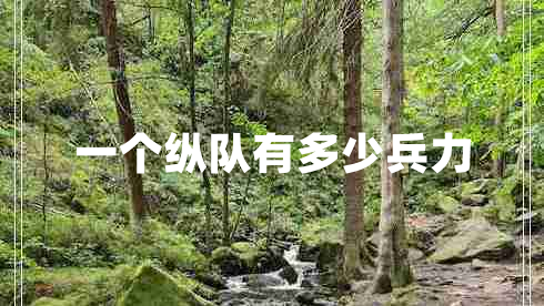 一個縱隊(duì)有多少兵力