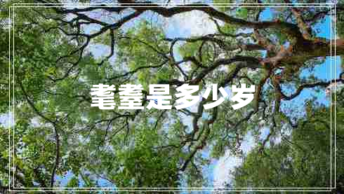 耄耋是多少歲