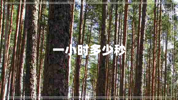 一小時多少秒