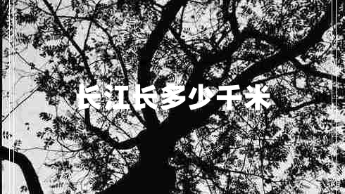 長江長多少千米