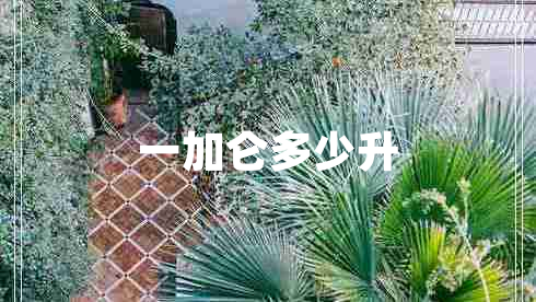 一加侖多少升