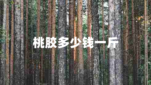 桃膠多少錢一斤