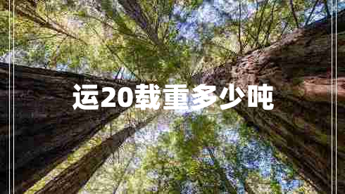 運20載重多少?lài)? title=