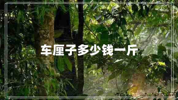 車?yán)遄佣嗌馘X一斤