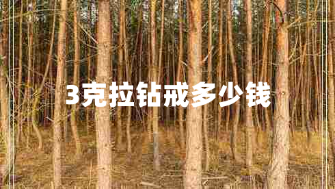 3克拉鉆戒多少錢(qián)