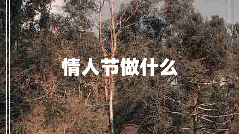 情人節做什么