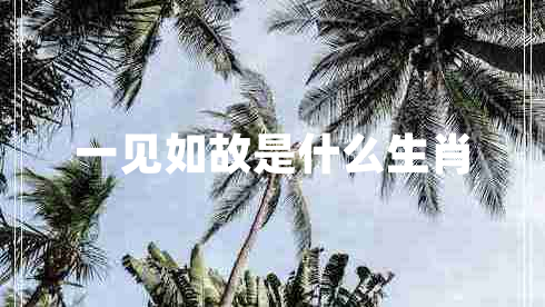 一見如故是什么生肖