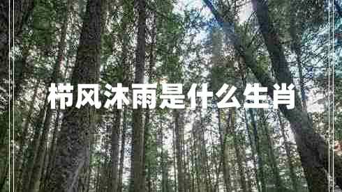 櫛風(fēng)沐雨是什么生肖