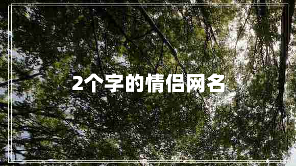 2個字的情侶網(wǎng)名