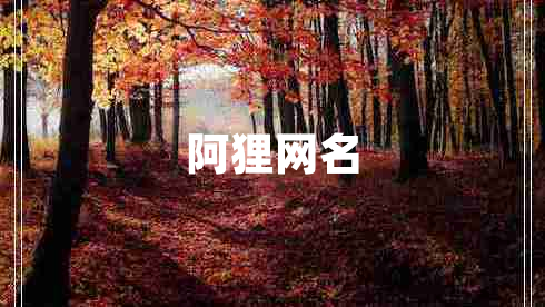 阿貍網(wǎng)名