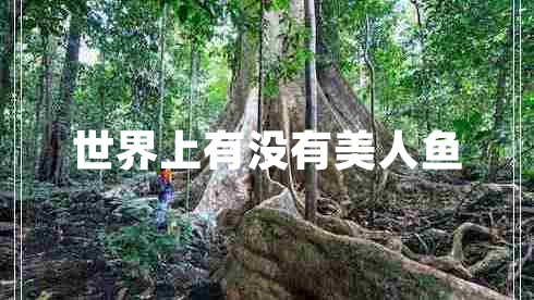 世界上有沒(méi)有美人魚(yú)