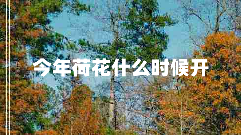 今年荷花什么時候開