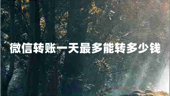 微信轉賬一天最多能轉多少錢(qián)
