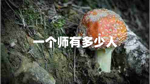 一個師有多少人