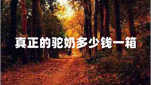 真正的駝奶多少錢(qián)一箱