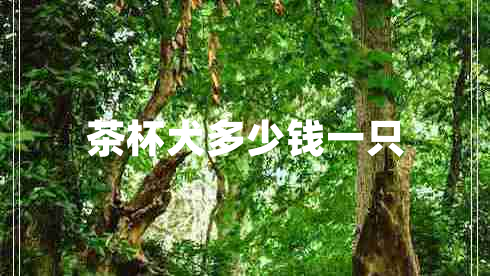 茶杯犬多少錢(qián)一只