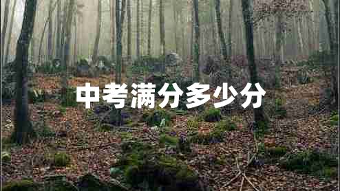 中考滿(mǎn)分多少分