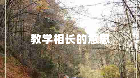 教學相長的意思