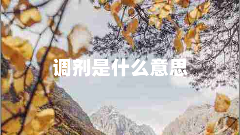 調劑是什么意思