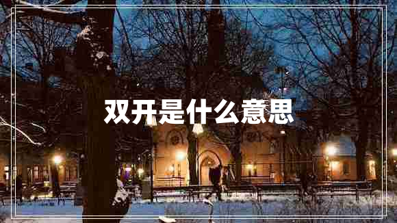 雙開(kāi)是什么意思