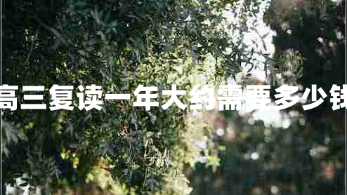 高三復讀一年大約需要多少錢