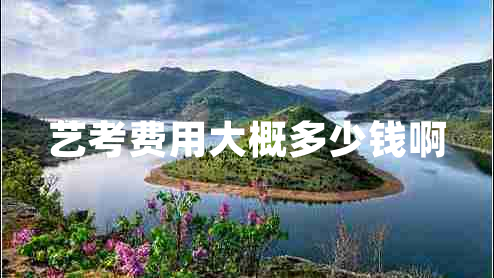 藝考費(fèi)用大概多少錢啊