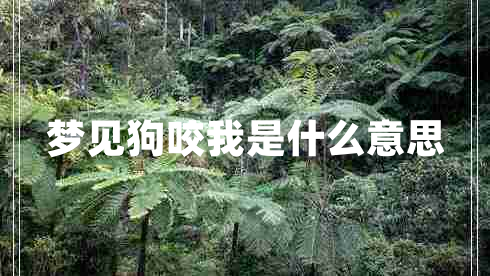 夢(mèng)見狗咬我是什么意思