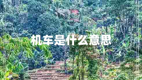 機車(chē)是什么意思