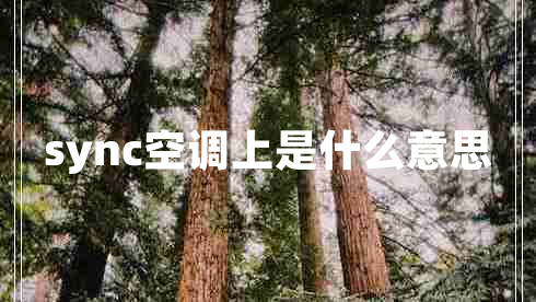 sync空調上是什么意思