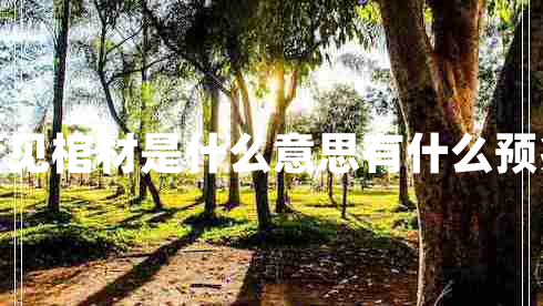 夢(mèng)見(jiàn)棺材是什么意思有什么預兆