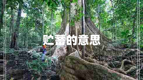 貯蓄的意思