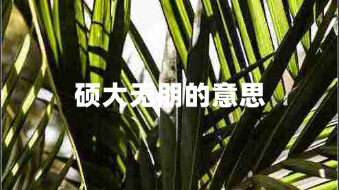 碩大無朋的意思