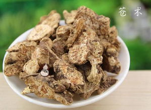 蒼術(shù),典故