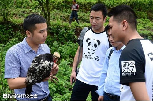 貴妃雞的典故