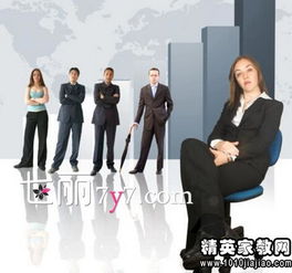 職場,故事,經(jīng)典