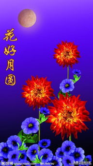 花好月圓,典故