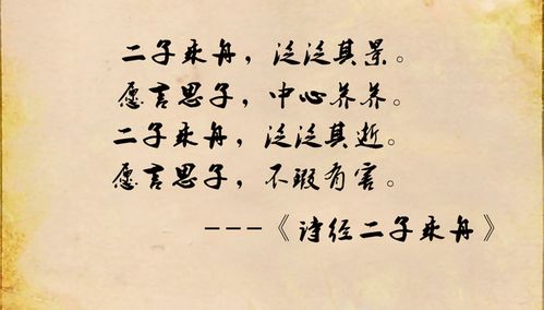 二子乘舟典故,二子乘舟詩(shī)經(jīng),二子乘舟翻譯
