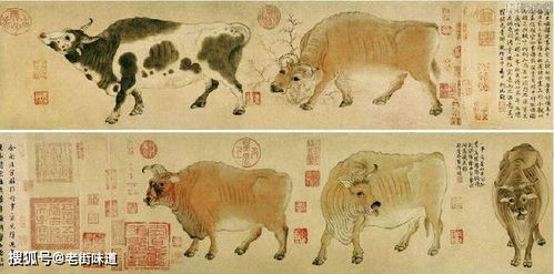 牛背語典故