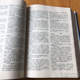 中國(guó)詩(shī)詞典故詞典