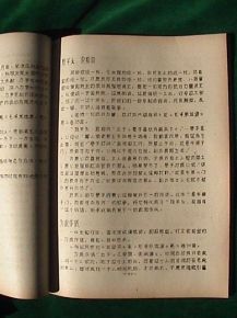 名詞典故