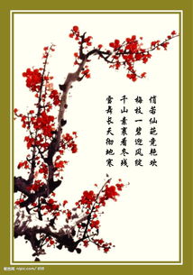 與梅花有關的典故