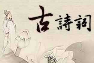典故,古詩,善于,詞中