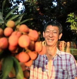 江陽典故