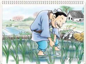 充數,濫竽充數,典故