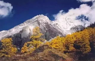 鱗次櫛比,典故